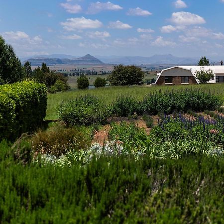 베들레헴 Lavender Hill Country Estate And Wedding Venue 게스트하우스 외부 사진